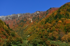 秋　快晴の大白川へ♪