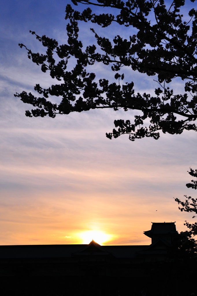 sakura & 金沢城　夕景その一