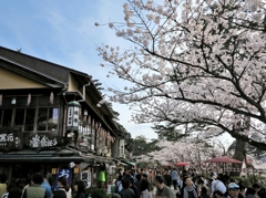 茶店通り