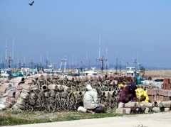 蛸の島