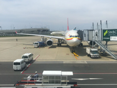 関空発天津行き天津空港A330-300
