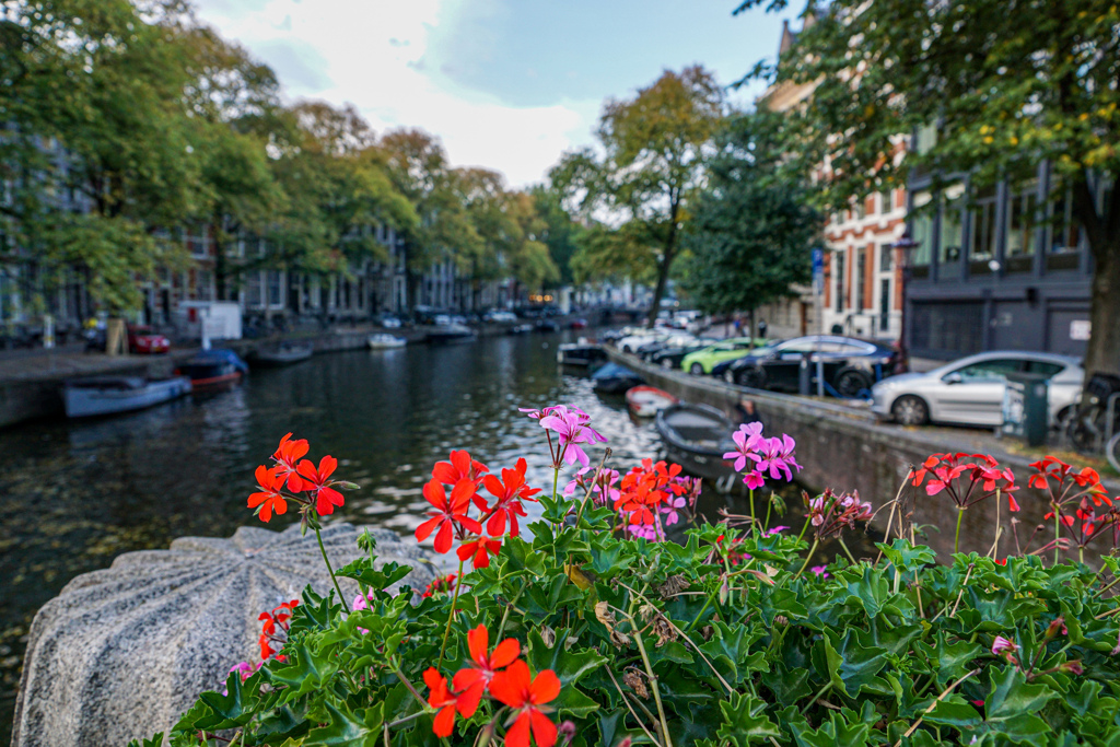 花がある･･･＠アムステルダム