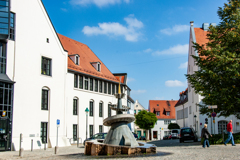 2006年ドイツの旅　旧市街 その9 Dr. Oetkerの噴水＠ネルトリンゲン
