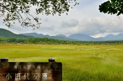 奥日光　小田代ヶ原　美しき草原