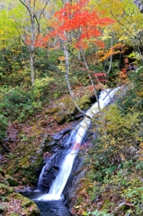 宇津江四十八滝　函滝