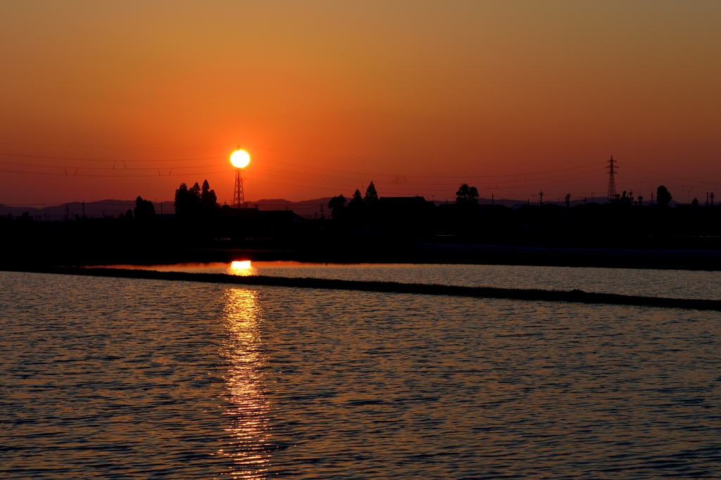 夕陽映える
