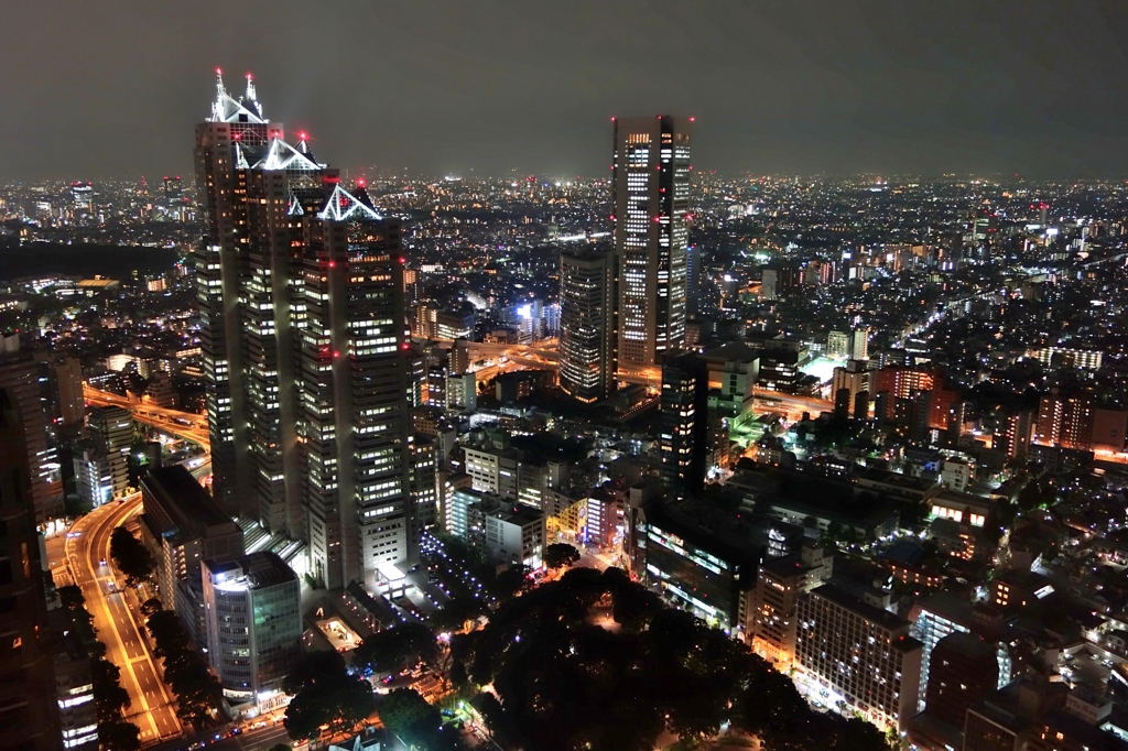 やはりこの夜景