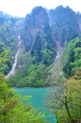 【新緑の黒部峡谷】出六峰