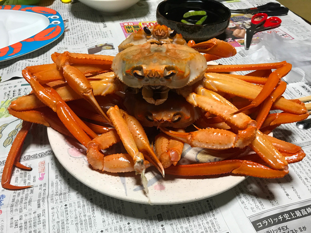 夜の食卓に♪