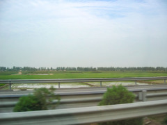 2005年中国の旅３　水田＠寧夏回族自治区・銀川