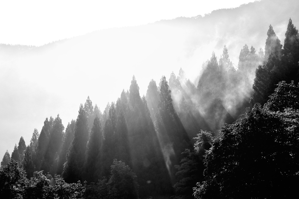 朝霧模様