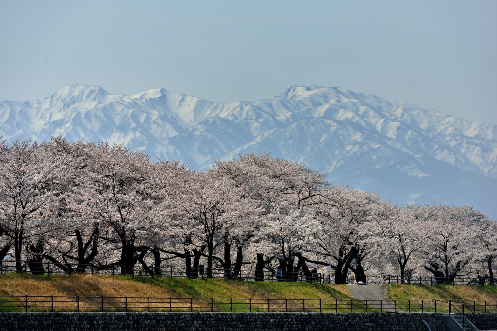 雪絵の舞台