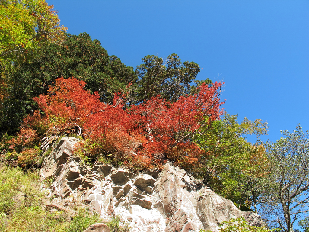 大白川　錦秋Ⅹ