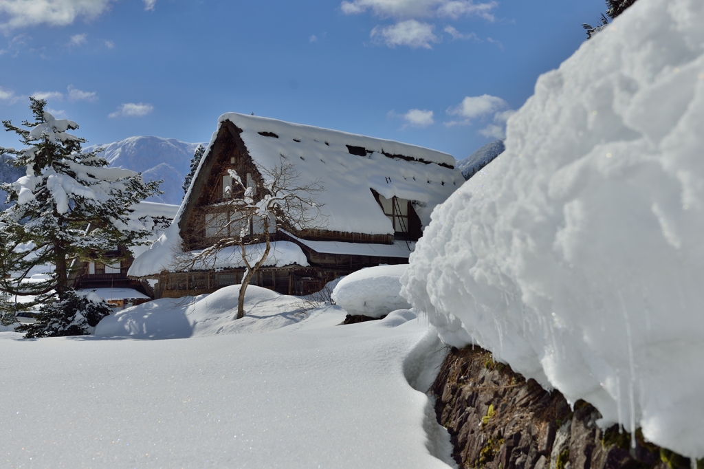 春恋し　雪の五箇山　光りけり