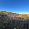 松本・諏訪の旅　草紅葉の八島ヶ原湿原３＠下諏訪町八島湿原
