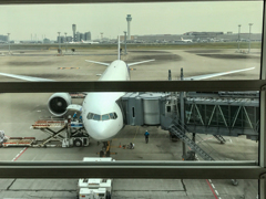 掘出し写真　フランクフルト行 ANA B777-300ER＠東京国際空港