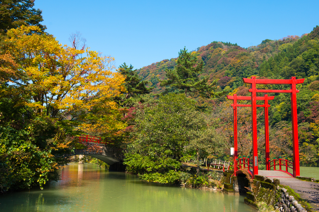 色づき始め庄川河畔