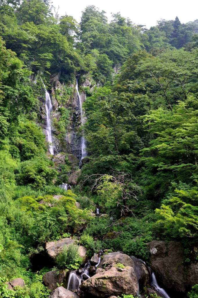 深緑山中二筋　夫婦滝Ⅱ