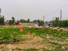 2006年中国の旅１　これが汾陽市内？＠山西省 呂梁 汾陽