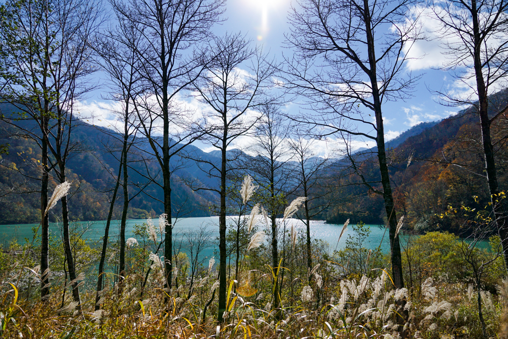 輝く白水湖