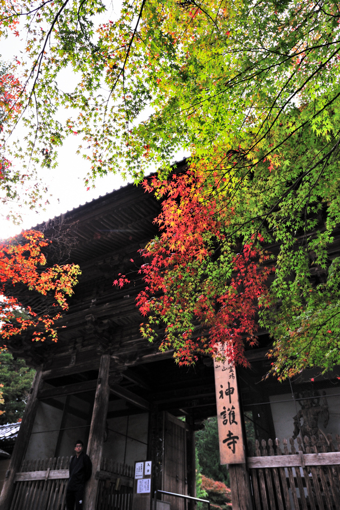 京都　三尾巡り　高雄山神護寺Ⅰ