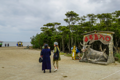 由布島へ