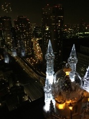 SEASIDE TOP クリスマスバージョンⅡ