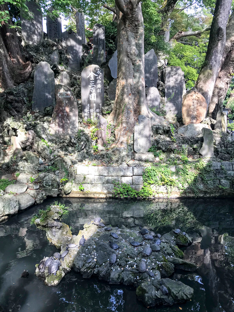 亀岩にカメ！＠成田山新勝寺