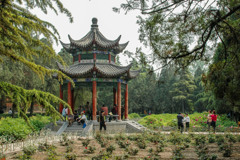 2005年中国の旅２　境内のお庭１ 白馬寺＠河南省 洛陽
