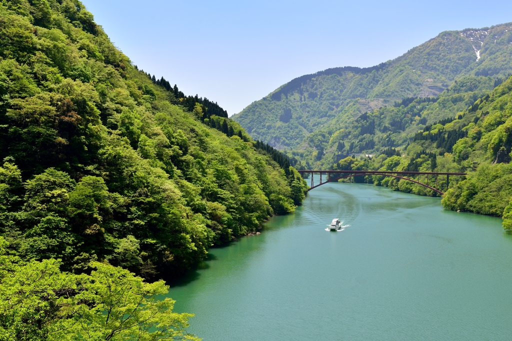 新緑　庄川峡