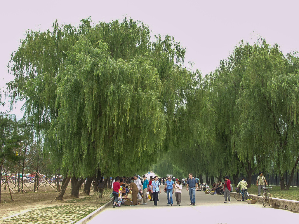2004年中国の旅１　秦始皇帝陵博物院へ…＠西安