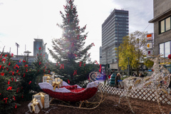 クリスマスマーケットシーズン始まる！
