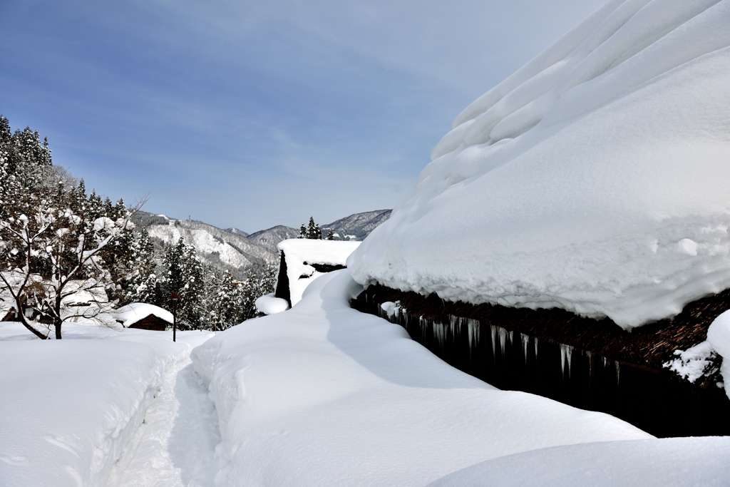 銀世界の五箇山　道 