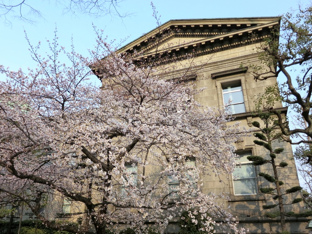 重文と桜