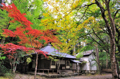 京都　三尾巡り　世界遺産　栂尾山高山寺Ⅵ