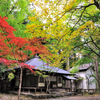 古都京都の文化財