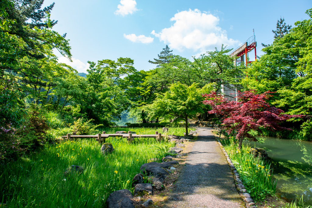 庄川水記念公園　新緑萌ゆ