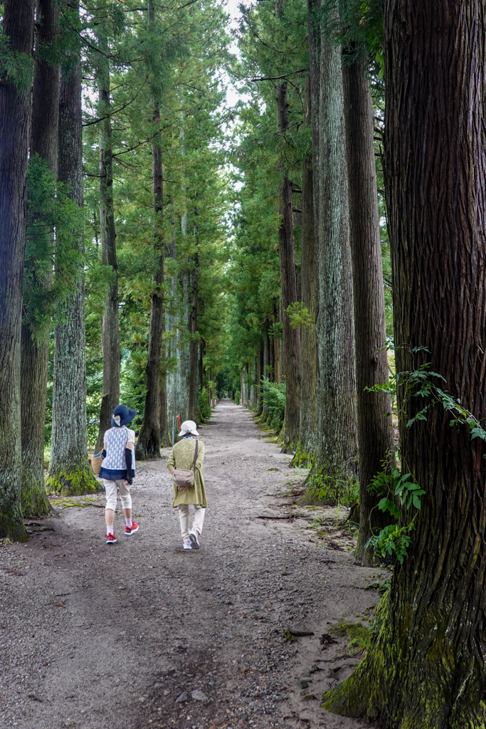 子にひかれてお寺参り･･･