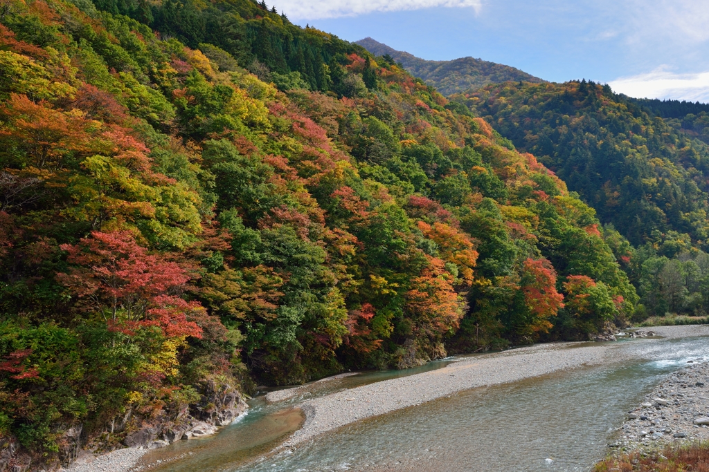 思案紅葉・・・