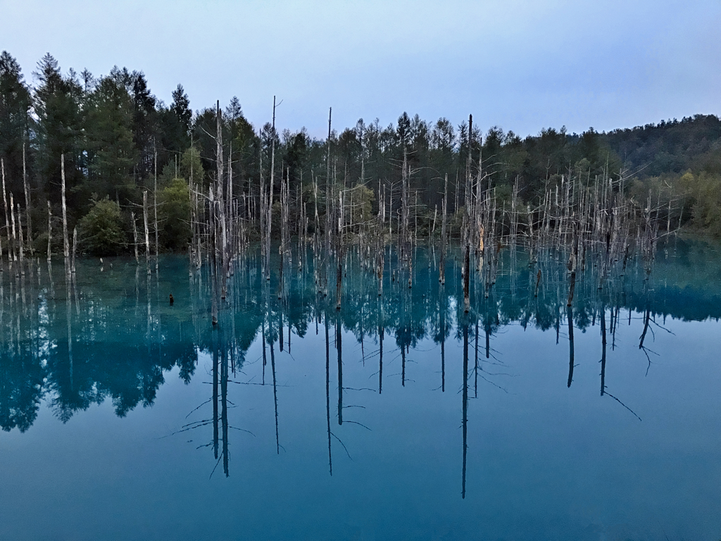 神秘の青い池