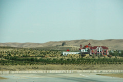 2006年中国の旅１　緑化事業＠寧夏回族自治区・銀川