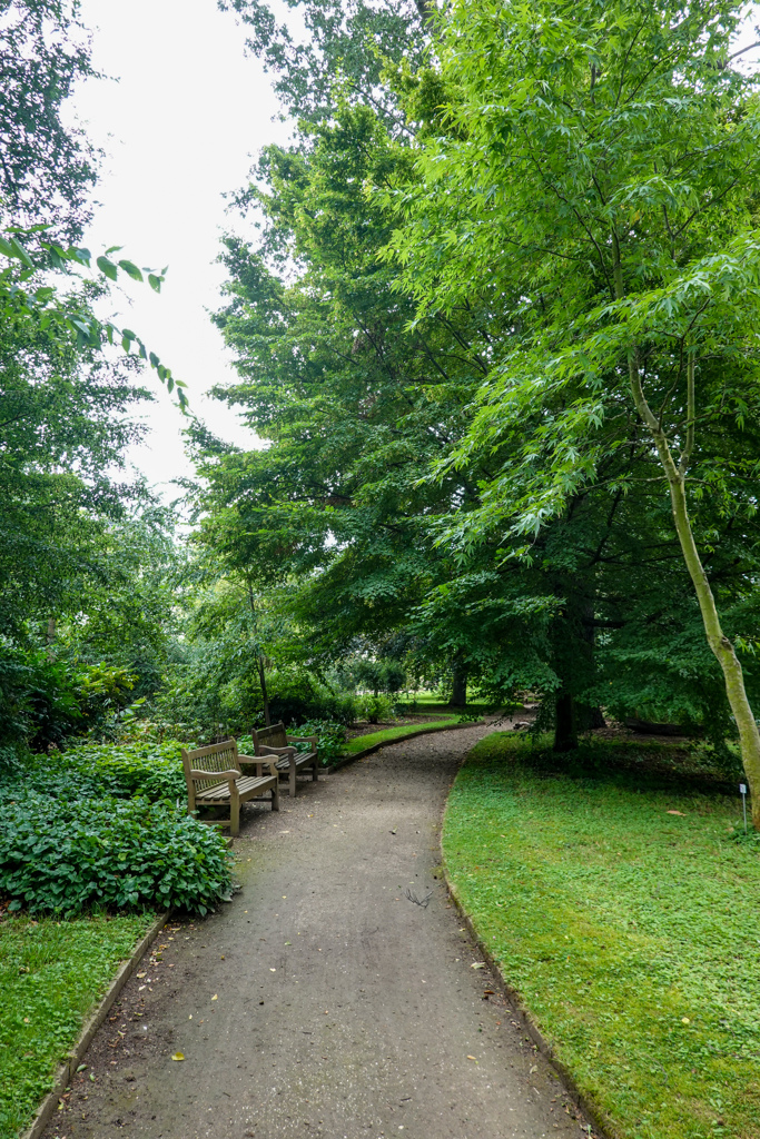 再訪 ボン大学付属植物園 その4