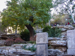 2005年中国の旅４　明思宗殉国処 景山公園＠北京