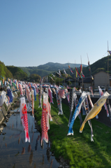 大谷川鯉のぼりの橋渡し