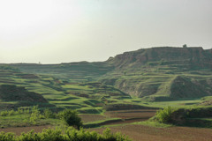 2006年中国の旅１　美しき段々畑＠山西省 長治