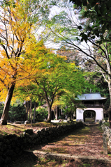 京都の秋を求めて　大原　古知谷阿彌陀寺
