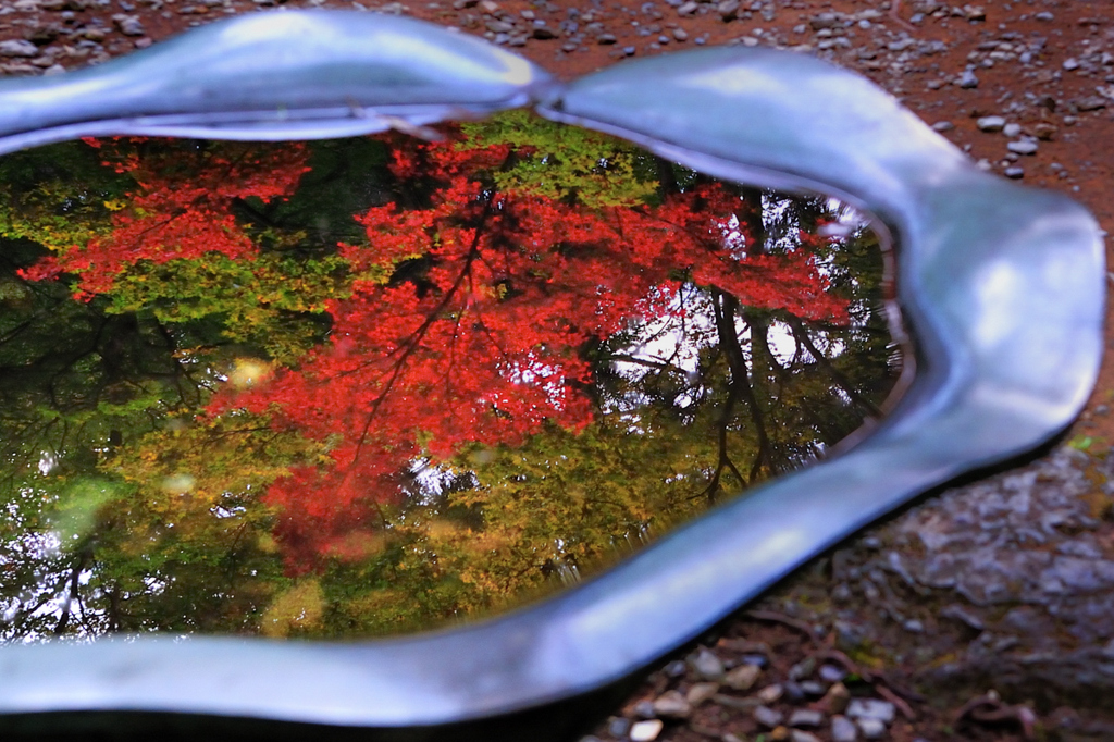 京都　三尾巡り　世界遺産　栂尾山高山寺Ⅷ