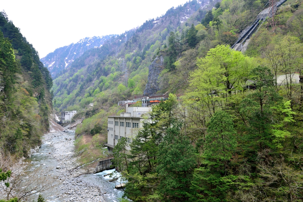 【新緑の黒部峡谷】欅平駅と黒部川本流