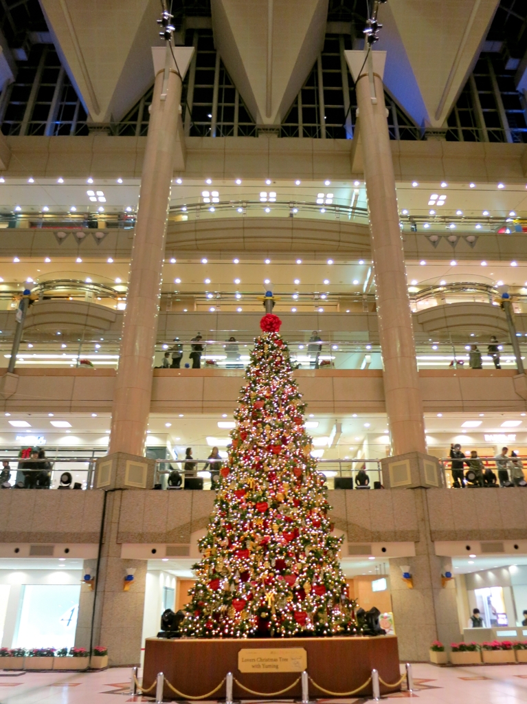 Lovers Christmas Tree with Yuming