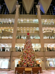 Lovers Christmas Tree with Yuming
